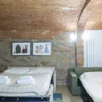 Rent 1 bedroom apartment of 40 m² in Florence