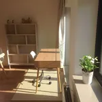 Rent 1 bedroom apartment in Leuven