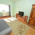 Rent 1 bedroom apartment of 28 m² in Timișoara