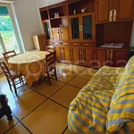 Rent 3 bedroom apartment of 80 m² in Rapallo