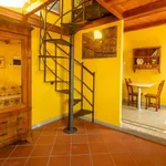 Rent 1 bedroom apartment of 35 m² in florence