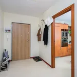 Rent 1 bedroom apartment of 50 m² in Kraków