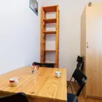 Rent 1 bedroom apartment in Bologna