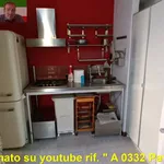 Rent 2 bedroom apartment of 60 m² in Pavia