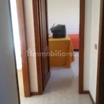 Rent 3 bedroom apartment of 78 m² in Siena