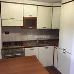 Rent 2 bedroom apartment of 65 m² in Milano