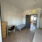 Rent 2 bedroom apartment of 50 m² in Milan