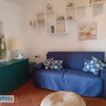 Appartamento arredato con terrazzo Porto taverna