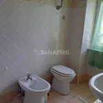 Affitto 3 camera appartamento di 60 m² in Frosinone