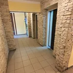 Rent 3 bedroom apartment of 68 m² in Ostrava