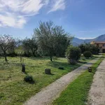 Rent 2 bedroom house of 50 m² in Formia