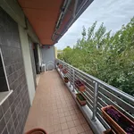 Rent 3 bedroom apartment of 85 m² in Udine