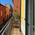 Rent 1 bedroom apartment in Bologna