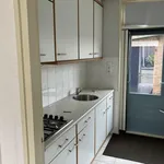 Rent 4 bedroom apartment of 66 m² in sommelsdijk