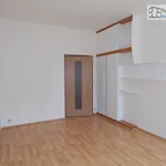 Rent 3 bedroom apartment of 90 m² in Brno