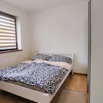 Pronájem bytu 2+1 90m²