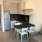 Rent 2 bedroom apartment of 30 m² in Vedano al Lambro