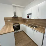 Rent 3 bedroom apartment in Prague