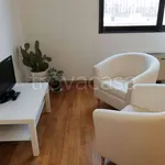 Rent 1 bedroom apartment of 40 m² in Torino