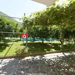 Rent 2 bedroom apartment of 50 m² in San Felice Circeo