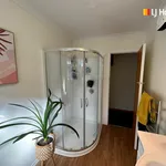 Rent 3 bedroom apartment in Dunedin