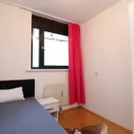 Rent 2 bedroom apartment of 80 m² in Rotterdam