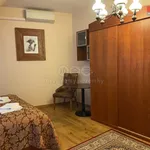 Rent 4 bedroom apartment of 110 m² in Plzeň