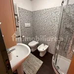 Rent 3 bedroom apartment of 110 m² in Turin