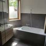 Pronajměte si 1 ložnic/e byt o rozloze 65 m² v Cakovice