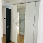 Pronajměte si 2 ložnic/e byt o rozloze 66 m² v Prague