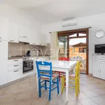 Rent 3 bedroom apartment of 80 m² in Olbia