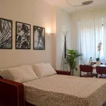 Rent 1 bedroom apartment in milan