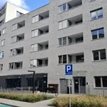 Rent 2 bedroom apartment of 40 m² in Gliwice