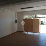 Rent 2 bedroom apartment of 50 m² in Gualdo Tadino