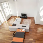 Rent 3 bedroom apartment of 160 m² in Budapest