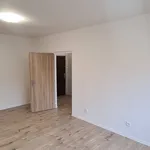 Pronajměte si 1 ložnic/e byt o rozloze 38 m² v Větřní