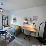 Rent 1 bedroom apartment of 30 m² in Nuremberg