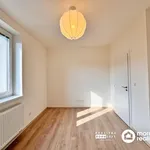 Rent 3 bedroom apartment of 42 m² in Brno