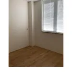 Huur 4 slaapkamer appartement van 200 m² in Houten