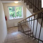 Rent 2 bedroom apartment of 41 m² in Brno