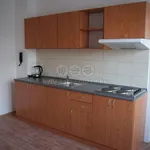 Rent 1 bedroom apartment of 45 m² in Ostrava