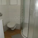 Rent 1 bedroom apartment of 28 m² in Pardubice