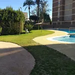 Rent a room in alicante