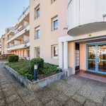 Rent 1 bedroom apartment of 43 m² in Obernai