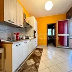 Rent 5 bedroom apartment of 140 m² in Catania