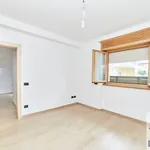 Rent 2 bedroom apartment of 60 m² in Roma