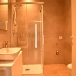 Rent 2 bedroom apartment of 80 m² in Renon