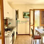 Rent 4 bedroom house of 90 m² in Santa Croce Camerina