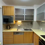 Rent 3 bedroom apartment of 120 m² in Praha