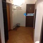 Rent 2 bedroom apartment of 60 m² in Pitești